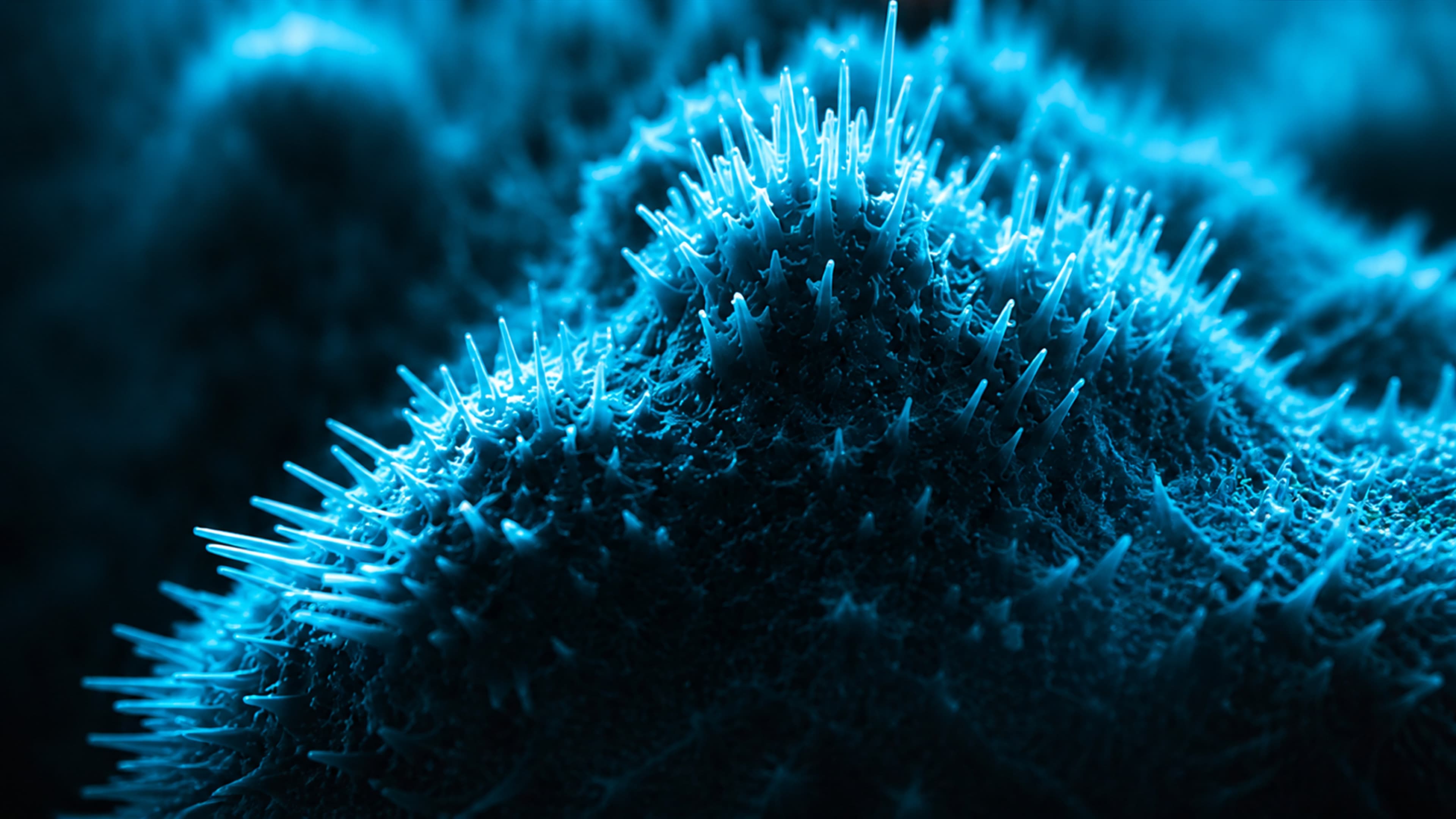 A detailed blue responsive surface representing an AI prototype under evaluation